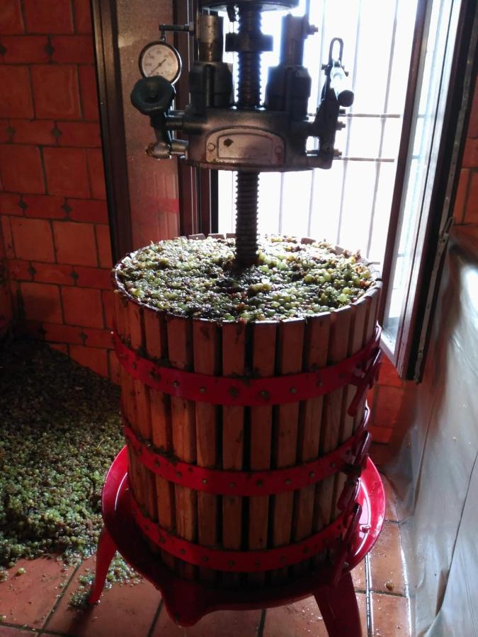 Casa Rural La Bodega, Ofrece Cata De Vino Gratis Horche Екстериор снимка